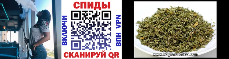 БУТИРАТ бутандиол сколько стоит Краснодар