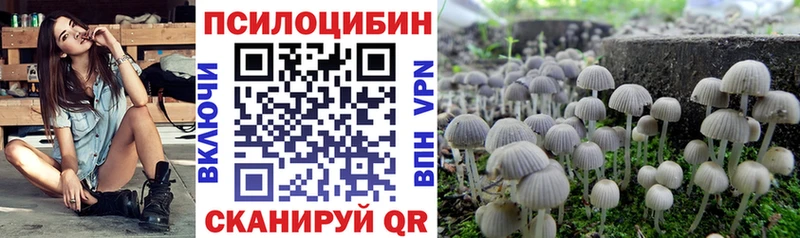 купить наркотик  Краснодар  Псилоцибиновые грибы ЛСД 