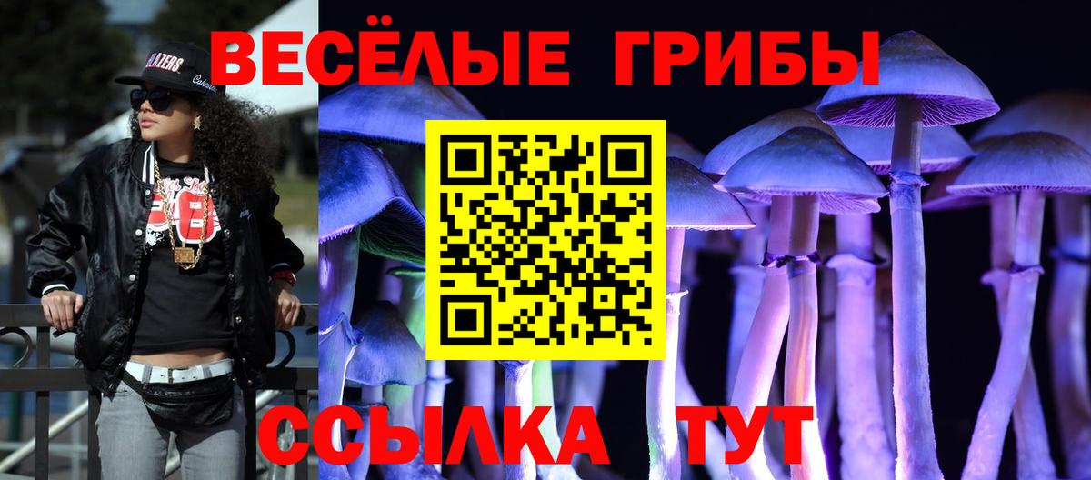 Галлюциногенные грибы Cubensis  купить  сайты  Краснодар  Вход с VPN 