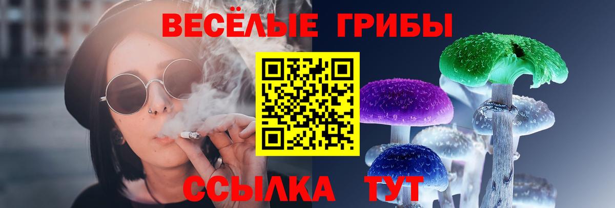 Псилоцибиновые грибы Cubensis Краснодар
