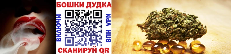 Конопля Bruce Banner  Краснодар 